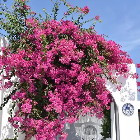 Marina Lägenhetshotell Naousa