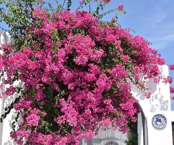 Marina Lejlighedshotel Naousa