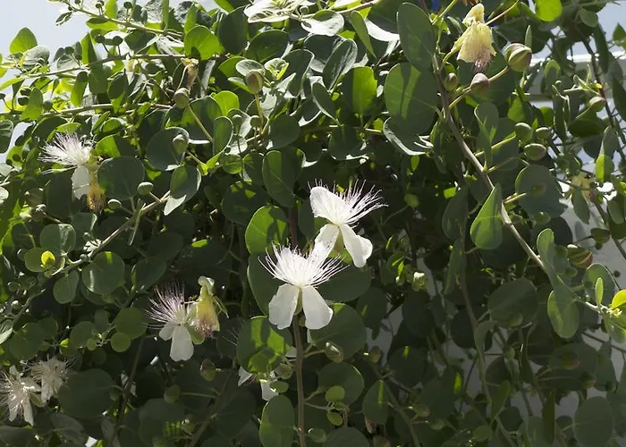 Lejlighedshotel Marina