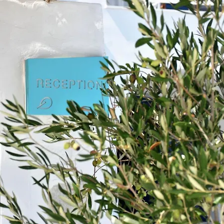 Aparthotel Marina Naoussa